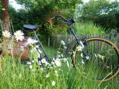 Fahrrad im Garten zwischen Blumen