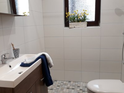 Badezimmer mit Dusche, Waschbecken und Toilette