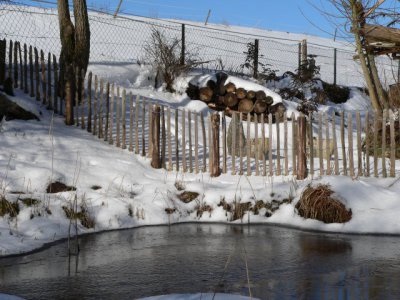 Garten im Winter